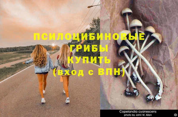 гашик Инта