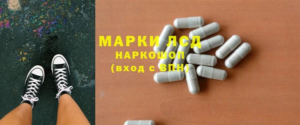гашик Инта