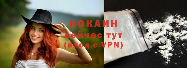 МДПВ Каменногорск