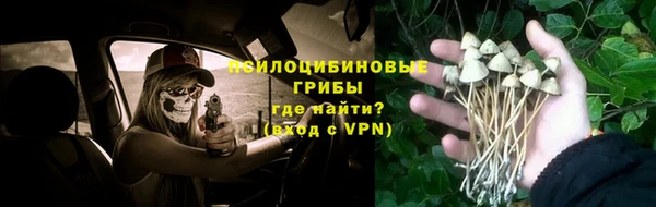 гашик Инта