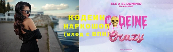 гашик Инта