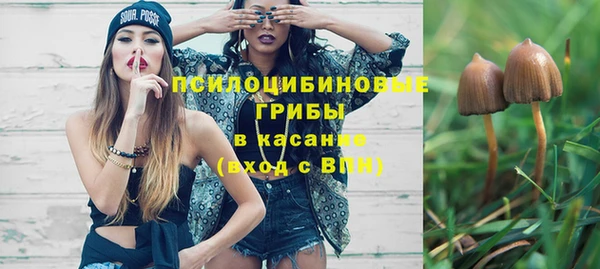 гашик Инта