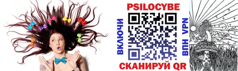 Купить Можга Псилоцибиновые грибы Psilocybe